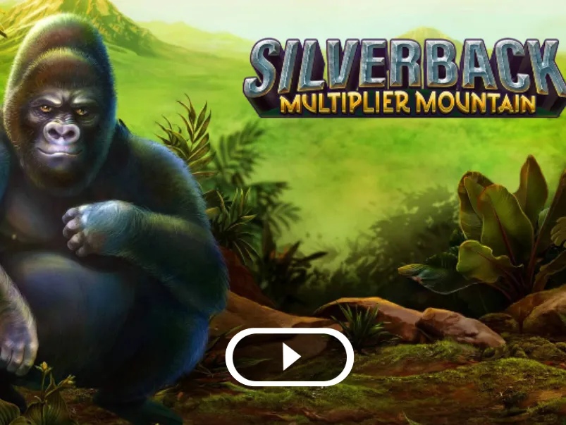 Silverback Shbet Com - Slot Trúng Tiền Triệu Trong Tầm Tay